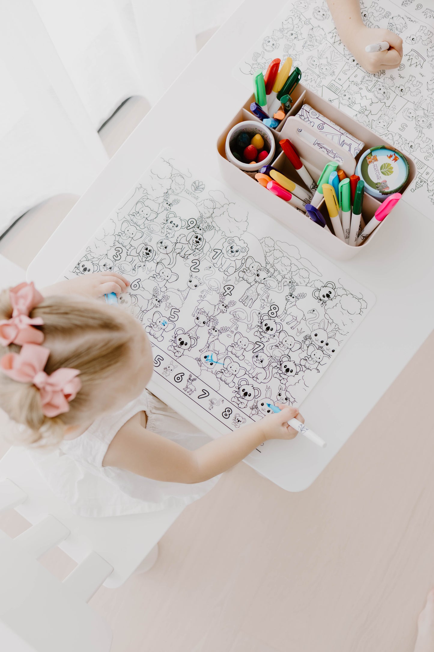 Seek n Spot Silicone Colouring Mat - Princesses